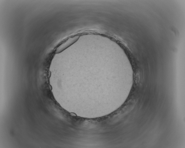 X0000112821496200910021151