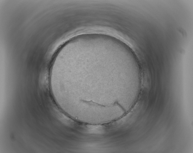 X0000112821498200910021151