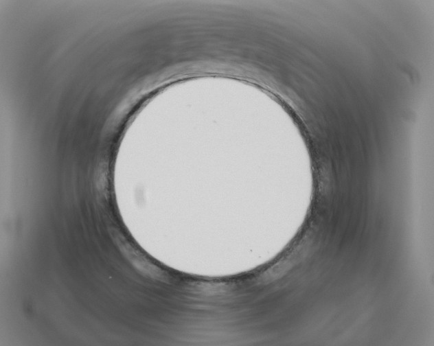 X0000112821499200910021151