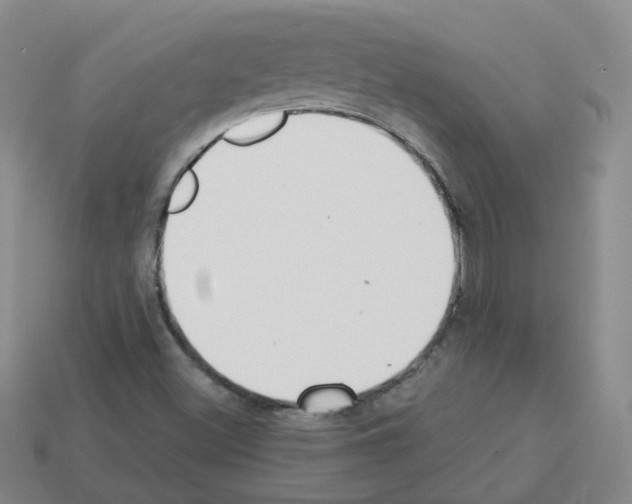 X0000112821500200910021151