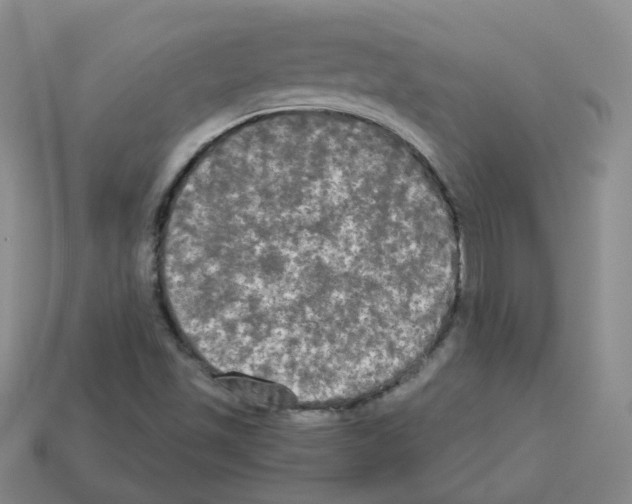 X0000112821501200910021151