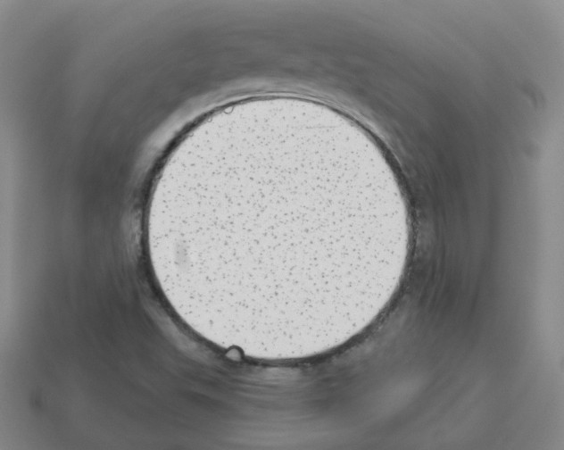 X0000112821503200910021151