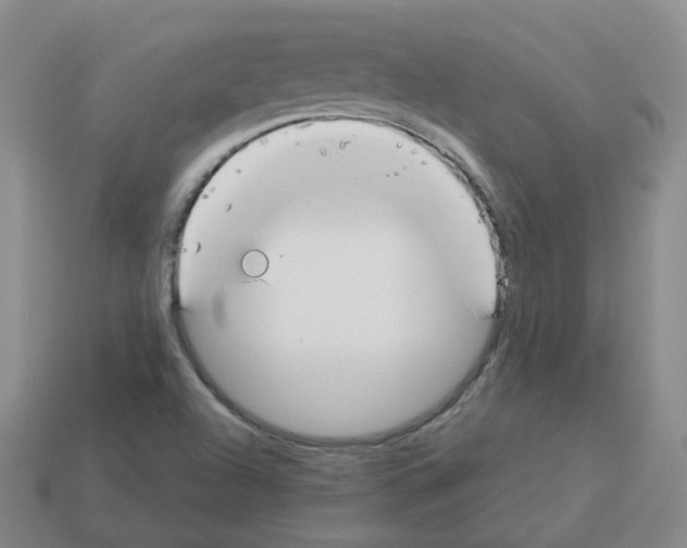 X0000112821504200910021151