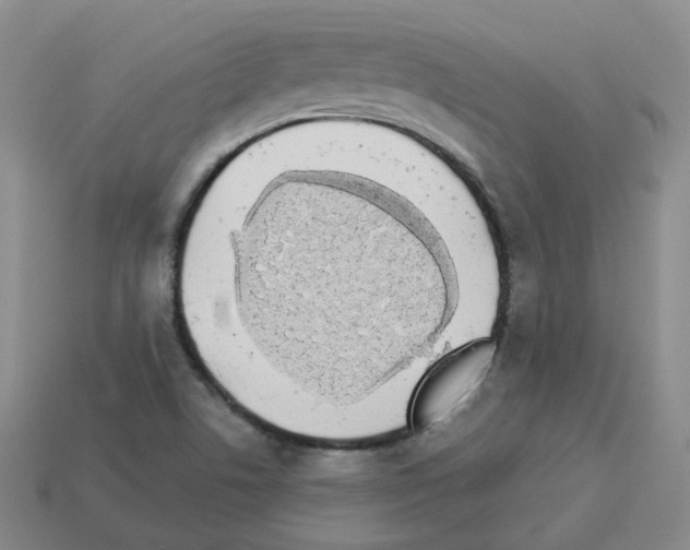 X0000112821506200910021151