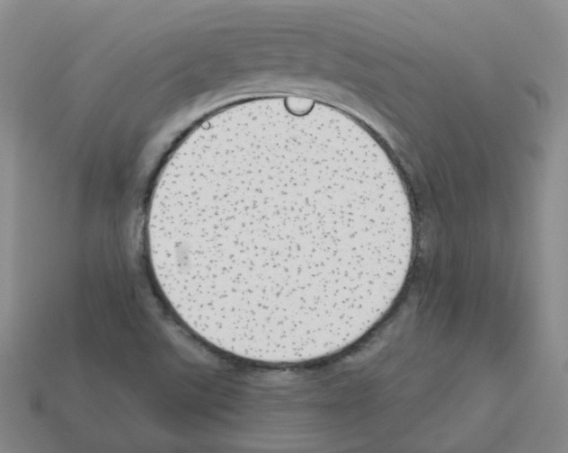 X0000112821507200910021151