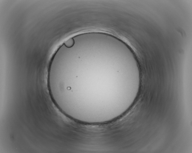 X0000112821508200910021151