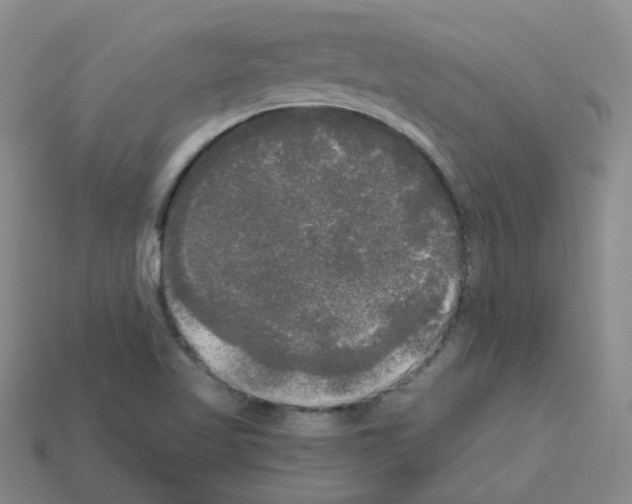 X0000112821509200910021151