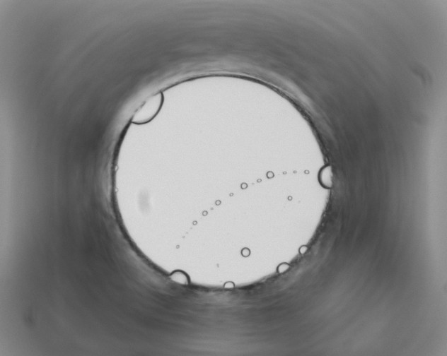 X0000112821512200910021151