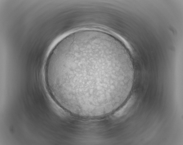 X0000112821514200910021151