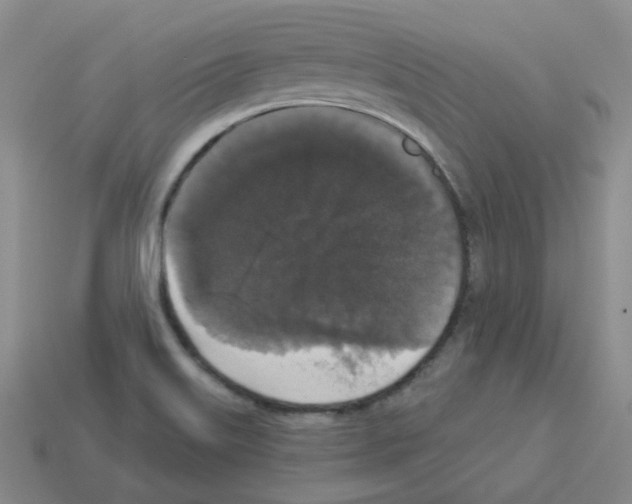 X0000112821515200910021151