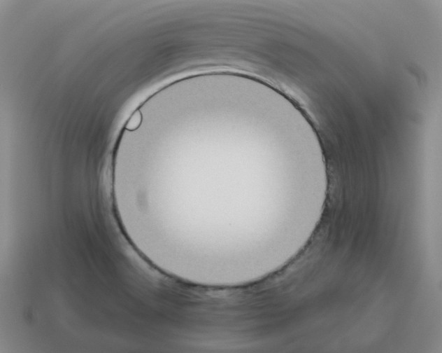 X0000112821516200910021151