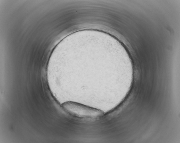 X0000112821521200910021151