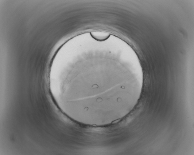 X0000112821522200910021151