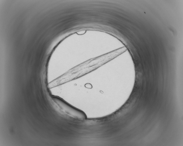 X0000112821523200910021151