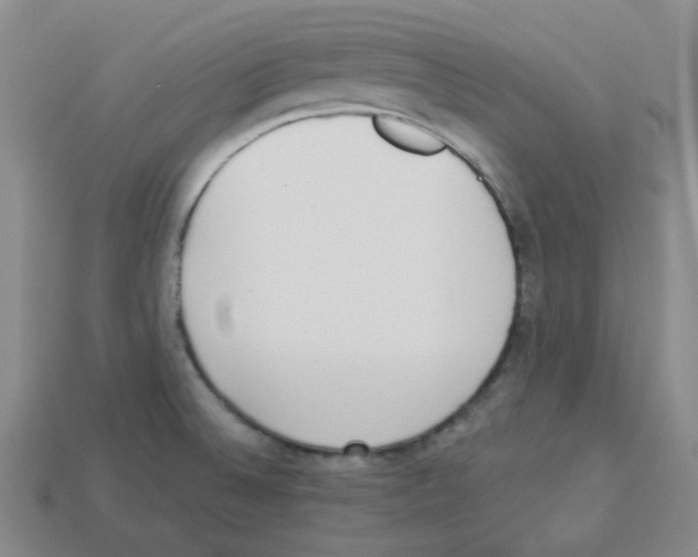 X0000112821524200910021151