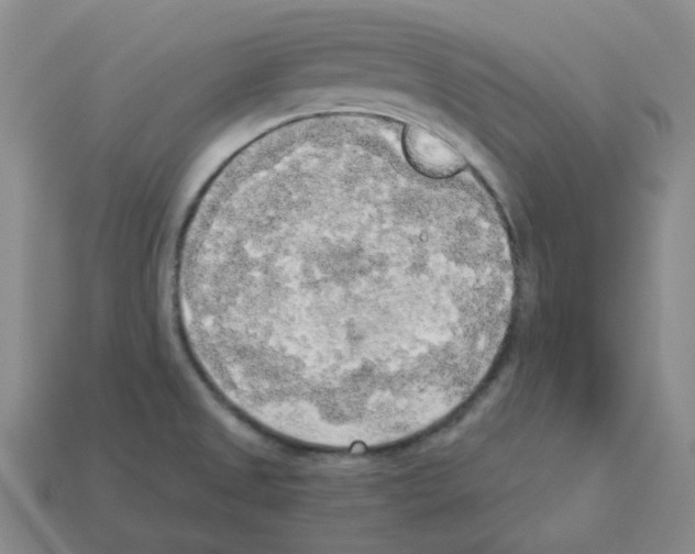 X0000112821525200910021151