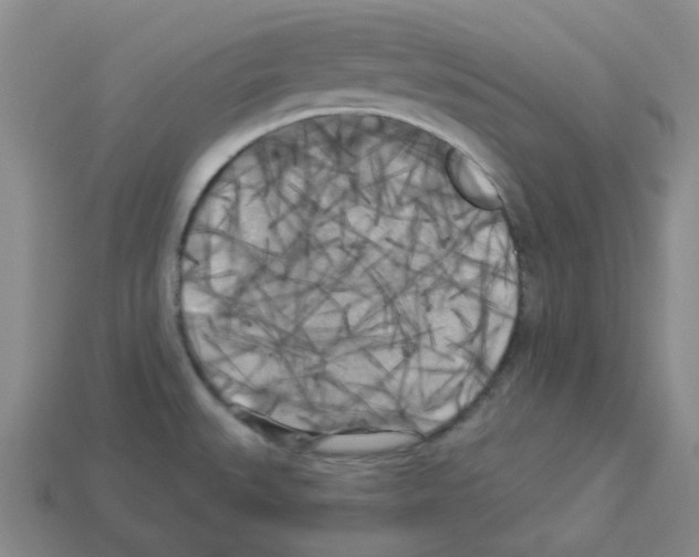 X0000112821527200910021151