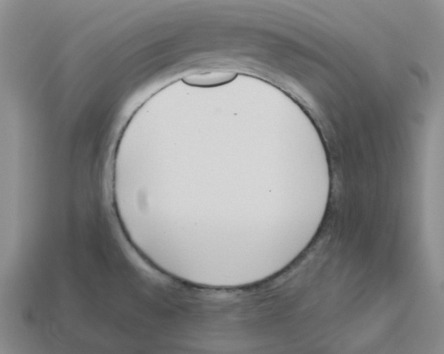 X0000112821528200910021151