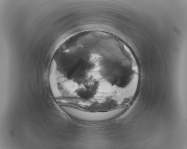 X0000112821529200910021151