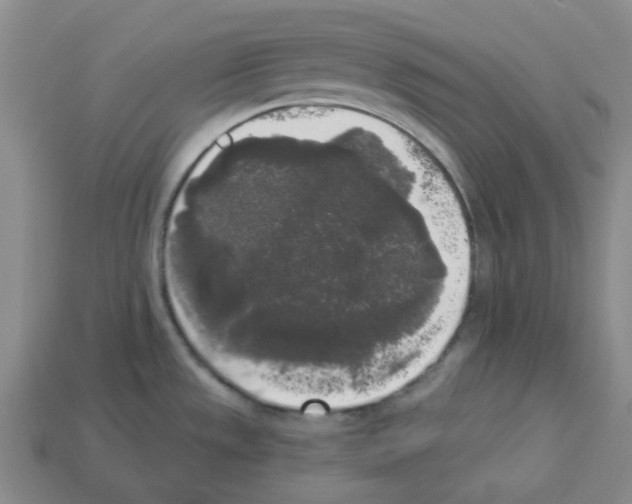 X0000112821533200910021151