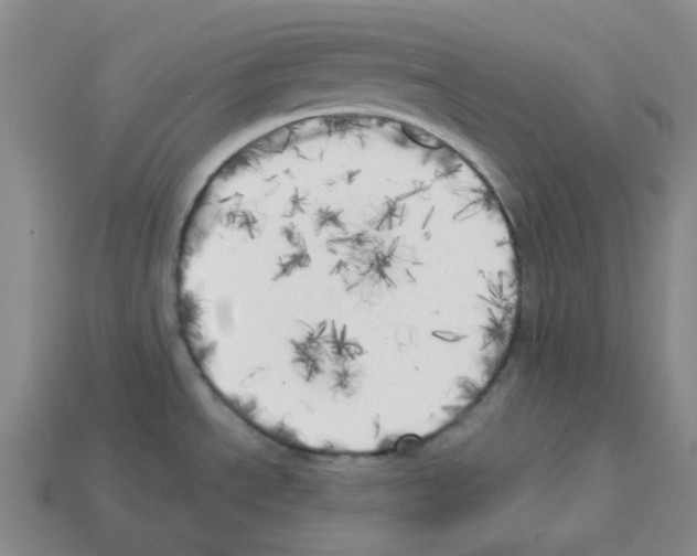 X0000112821534200910021151