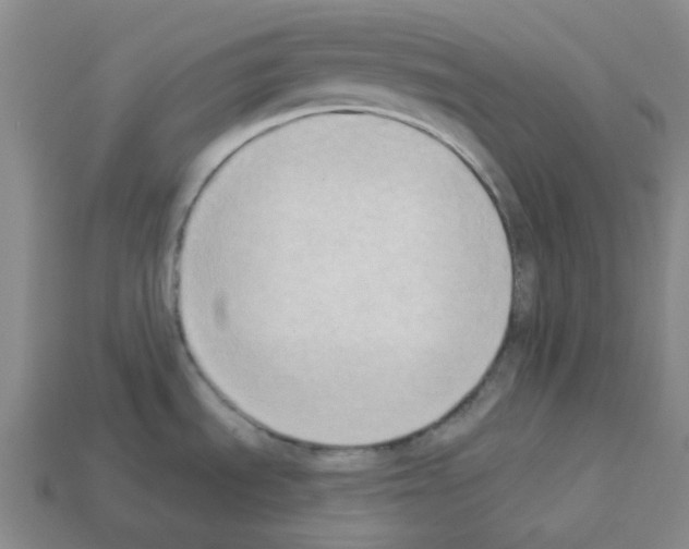 X0000112821535200910021151