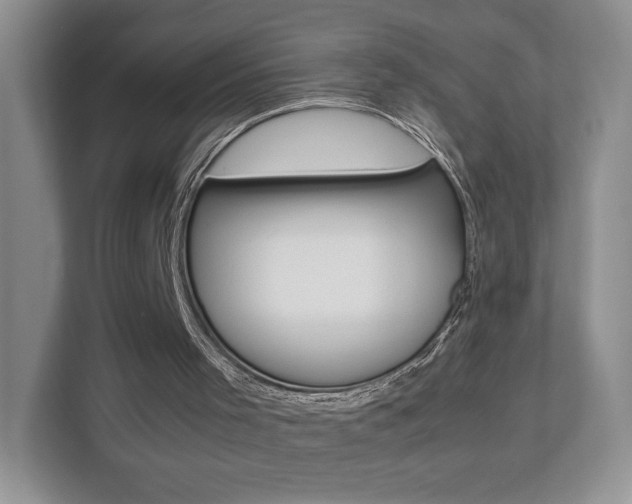 X0000112830001200908210948
