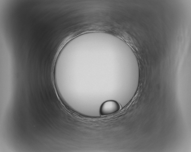 X0000112830003200908210948