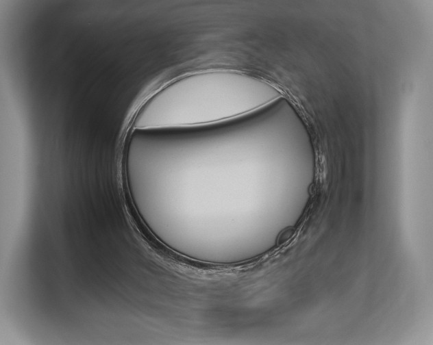 X0000112830004200908210948