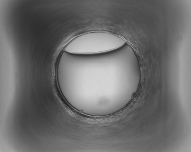 X0000112830005200908210948