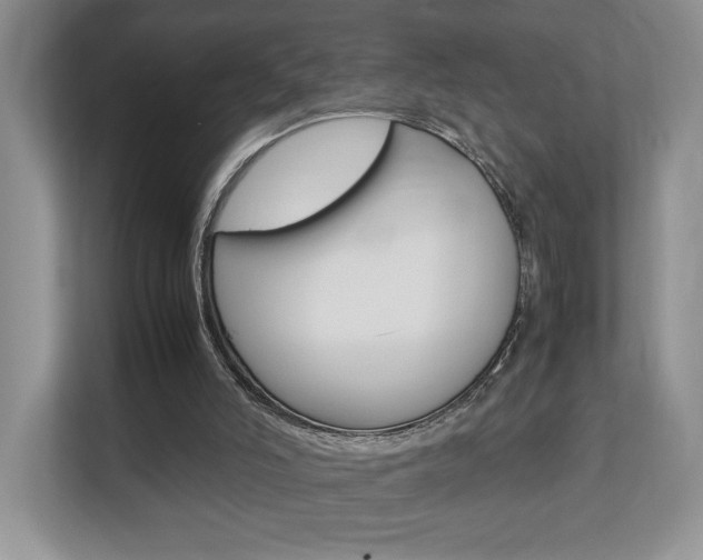X0000112830006200908210948