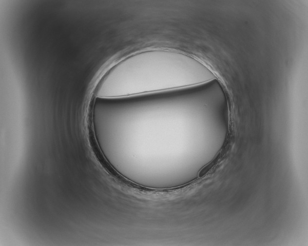 X0000112830007200908210948
