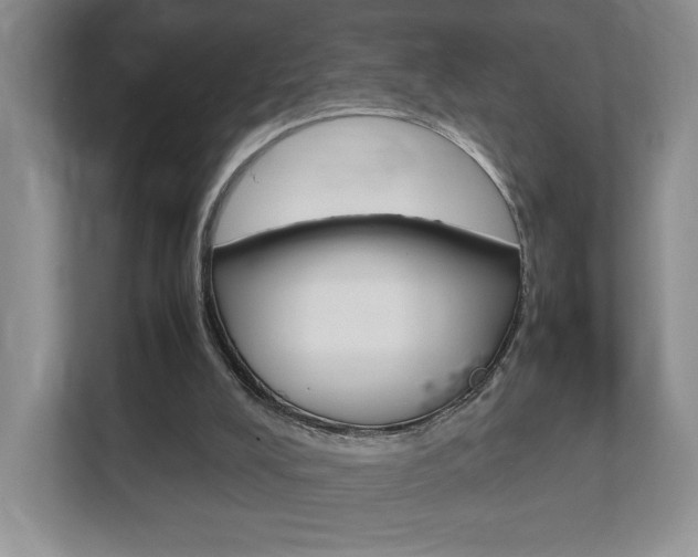 X0000112830008200908210948