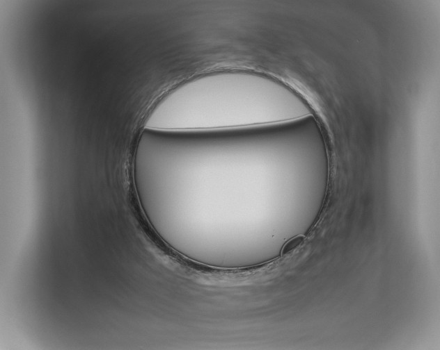 X0000112830009200908210948