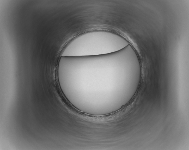 X0000112830010200908210948