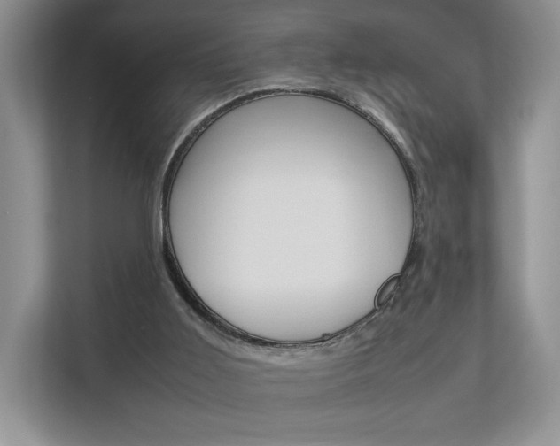 X0000112830011200908210948