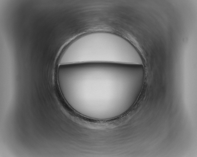 X0000112830012200908210948