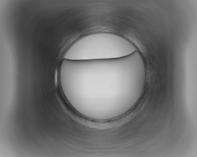 X0000112830014200908210948