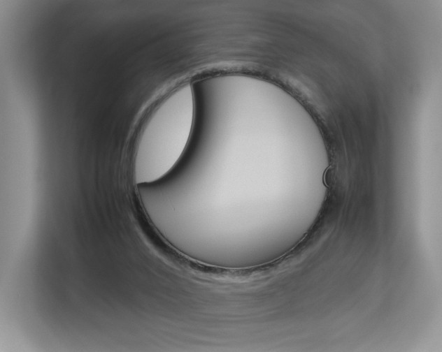 X0000112830016200908210948