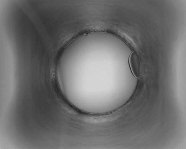 X0000112830017200908210948