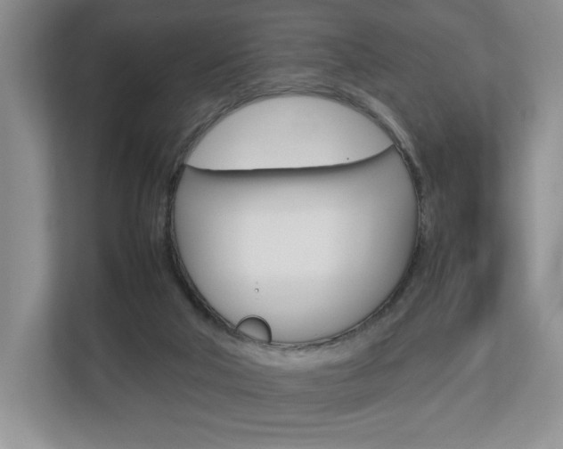 X0000112830018200908210948
