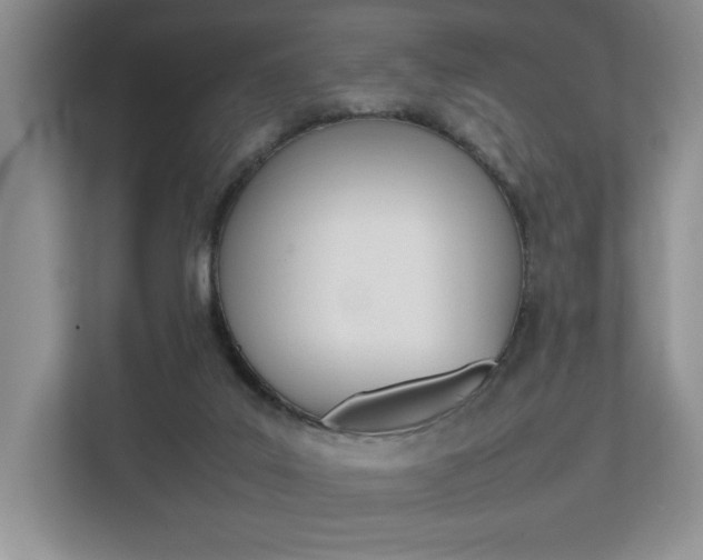 X0000112830019200908210948