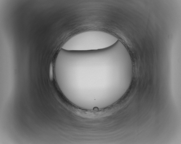 X0000112830022200908210948