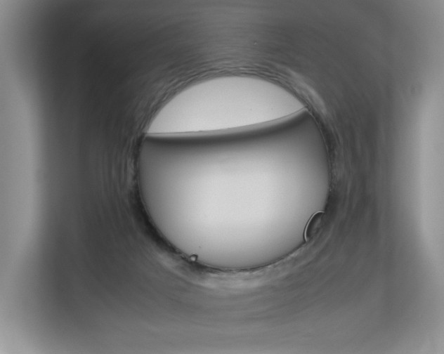 X0000112830025200908210948