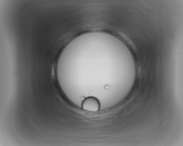 X0000112830026200908210948