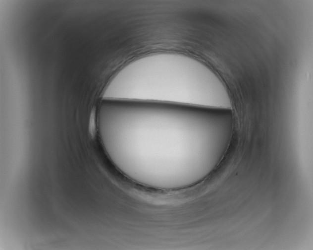 X0000112830028200908210948