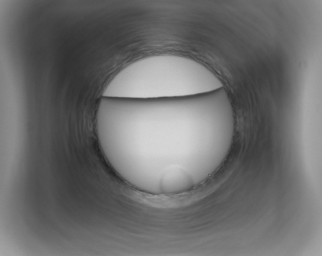 X0000112830030200908210947