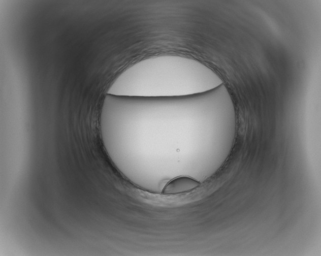 X0000112830034200908210947