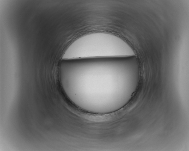 X0000112830036200908210947