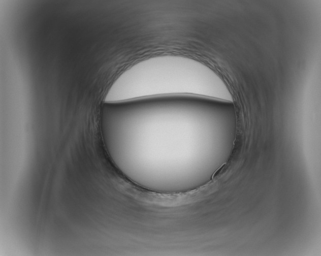 X0000112830037200908210947